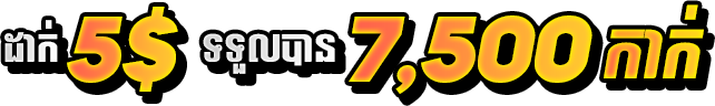 Promotional Text